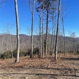 Lot 59 Mountain Grove Lane