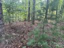 Tbd Forest Country Drive sold home in Marion, SC