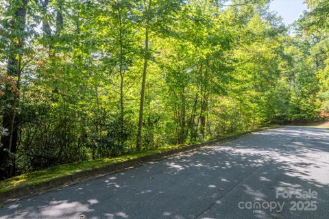 Tbd Pine Mountain Trail active home in Straus Park, Brevard, NC