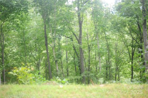 9 Wood Haven Lane active home in Laurel Ridge, Black Mountain, NC
