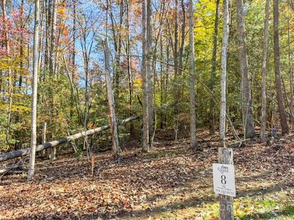000 Nature Walk Lane sold home in 1901 Reserve, Hendersonville, NC