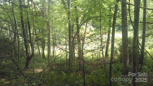7360 Nc 183 Highway