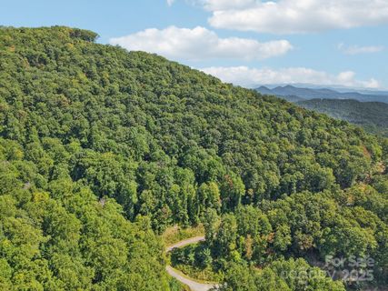 000 Biltmore View Drive active home in The Summit Of Asheville, Candler, NC