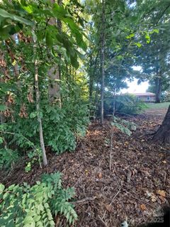 Homes in Woodridge, Hickory
