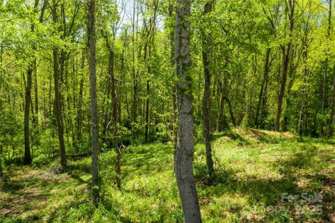 9999 Bee Balm Way active home in Olivette, Asheville, NC