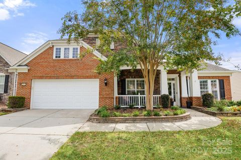 49135 Gladiolus Street
