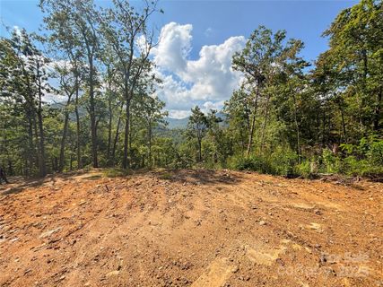 Homes in Cedar Creek Farms, Tuckasegee