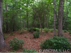 60 E Falls View Drive 58