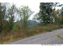 Lot 34 Cougar Trail sold home in Clyde, SC