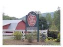 139 Cornell Circle 45 sold home in Lake Lure, SC