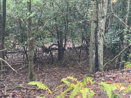 00 Mcdonald Court sold home in Pisgah Forest Farms, Pisgah Forest, NC