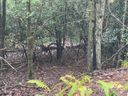 00 Mcdonald Court sold home in Pisgah Forest, SC
