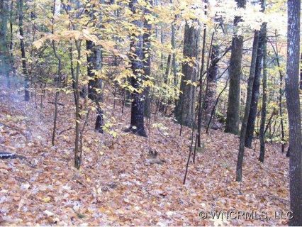 Lot 16 Fairway View Dr
