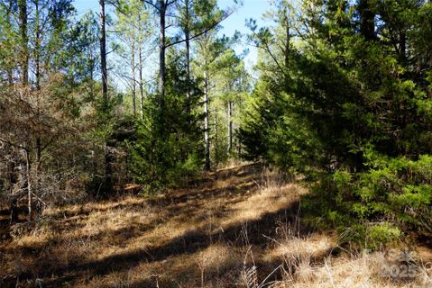 6 Ac Lot 2 Skyline Drive
