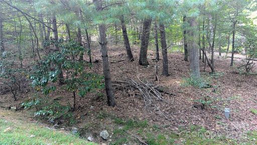 101 Scenic Drive