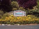 Lot 9 Junebug Trail Trail sold home in Waynesville, SC