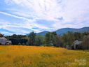 00 Stepping Stone Lane sold home in Waynesville, SC