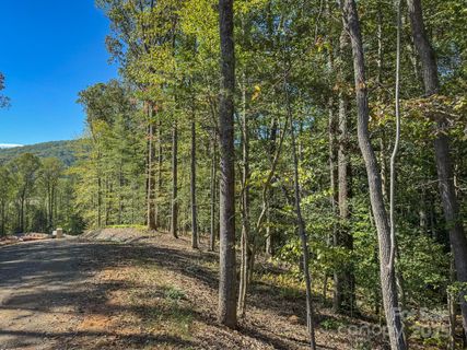000 Reserve Way sold home in 1901 Reserve, Hendersonville, NC