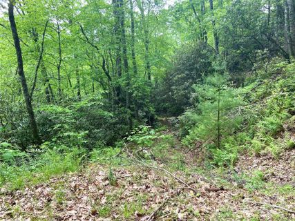 Lot 10 Mystic Forest Way