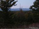 15 19 Ginger Spice 26 & 27 sold home in Weaverville, SC