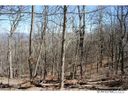 C 1 Spruce Patch C1 sold home in Sylva, SC
