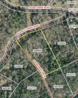 0 Buffalo Creek Road active home in Riverbend Highlands, Lake Lure, NC