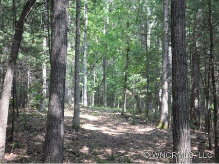 Xx White Oak Drive