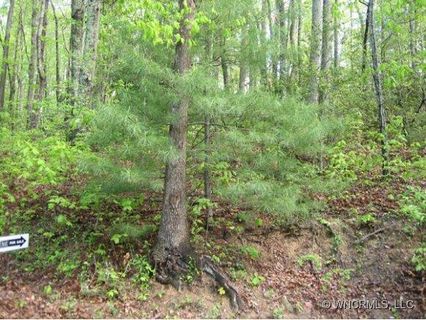 Lot 13 Powder Ridge Drive sold home in Merrills Park, Asheville, NC