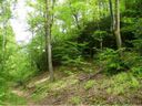 Lot 270 Bison Meadows sold home in Lake Lure, SC