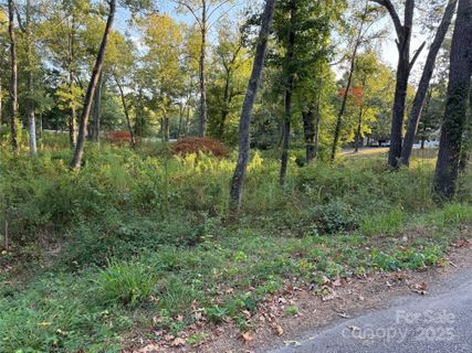 00 Whispering Pines Drive