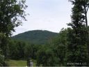 193 Goodview Drive sold home in Hendersonville, SC