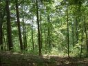 93 Rising Sun Road sold home in Mars Hill, SC