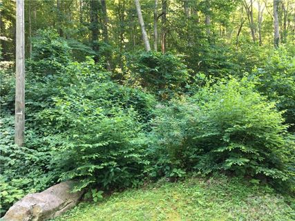 Tbd Red Oak Forest Road