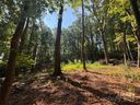 396 White Oak Mountain Road sold home in Columbus, SC