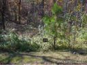 Lot 55 Hawks Pointe Lane sold home in Weaverville, SC
