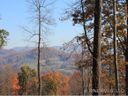 44 Stacy Lane sold home in Hendersonville, SC