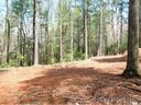 10 Sandy Spring Road sold home in Arden, SC