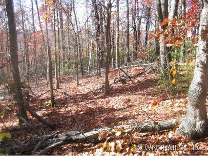 0000 Forest Brook Dr sold home in Forest Brook Estates, Black Mountain, NC