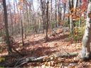 0000 Forest Brook Dr sold home in Black Mountain, SC