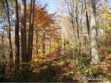 Lot 105 High Timber Trail Lo105 sold home in Seven Glens, Mars Hill, NC