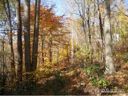 Lot 105 High Timber Trail Lo105 sold home in Mars Hill, SC