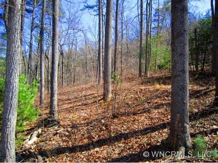 Lot C Sunny Ridge Drive sold home in Sunny Ridge, Asheville, NC