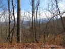 Lot 75 Wildflower sold home in Franklin, SC