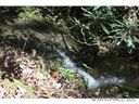 83 Big Raven Lane sold home in Saluda, SC