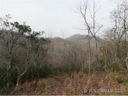 Lot 83 Wildflower sold home in Franklin, SC