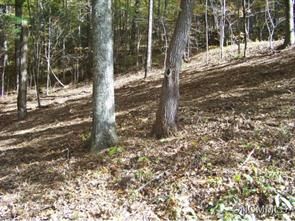 142 Rambling Ridge Rd 22