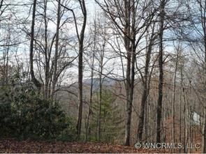 Lot 43 Green Pine Ct