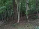 Lot 203 Forest Dr sold home in Maggie Valley, SC