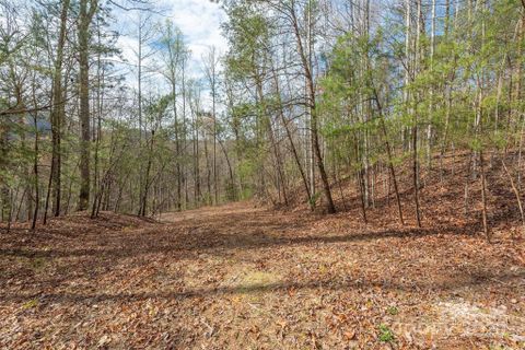 Homes in Three Creeks, Lake Lure