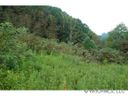 0000 Laurel Valley Road sold home in Mars Hill, SC